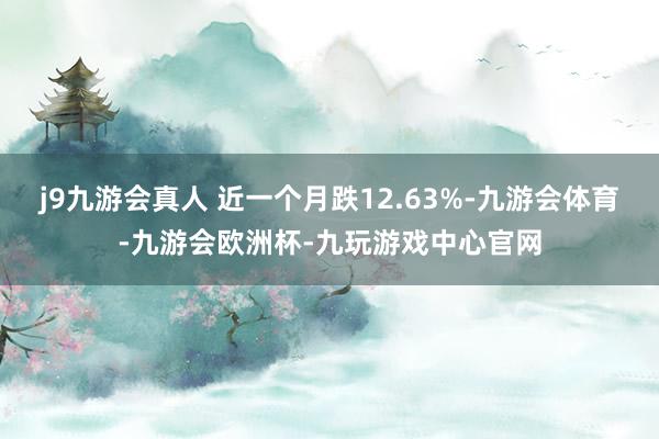 j9九游会真人 近一个月跌12.63%-九游会体育-九游会欧洲杯-九玩游戏中心官网